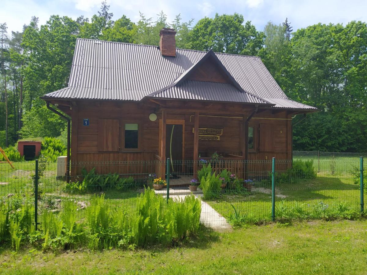 Villa Gajówka Żłobek Zlobek  Exterior foto