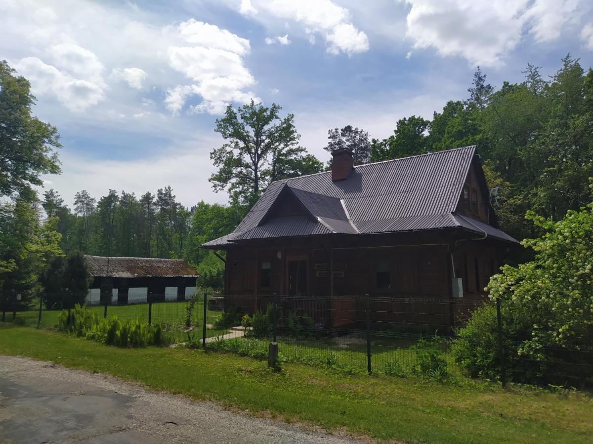 Villa Gajówka Żłobek Zlobek  Exterior foto